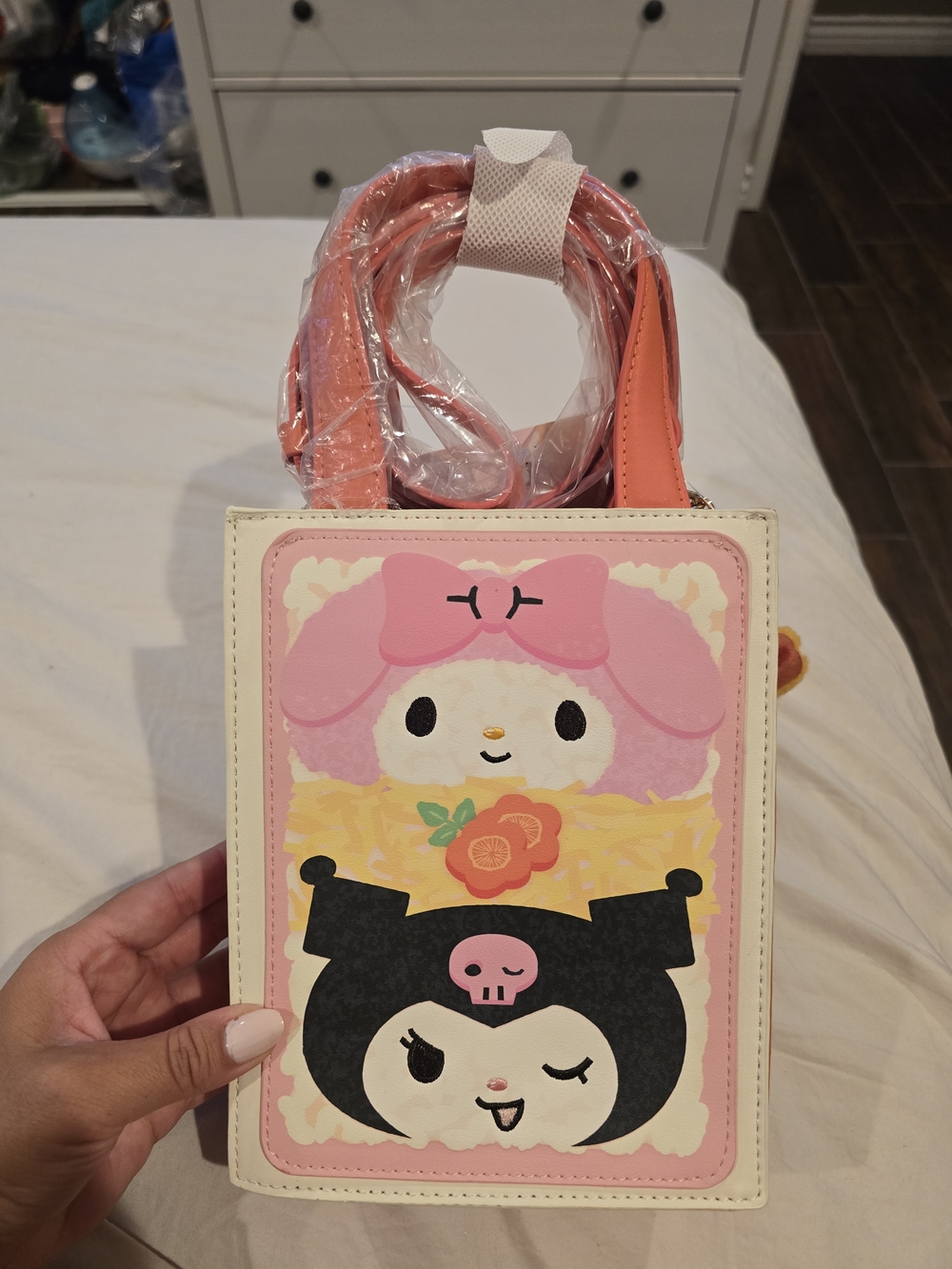 Sanrio Hello Kitty and Friends Benyo Box Crossbody Bag